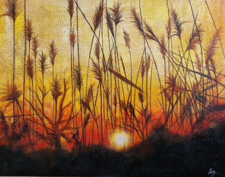 Sunset (pampas)