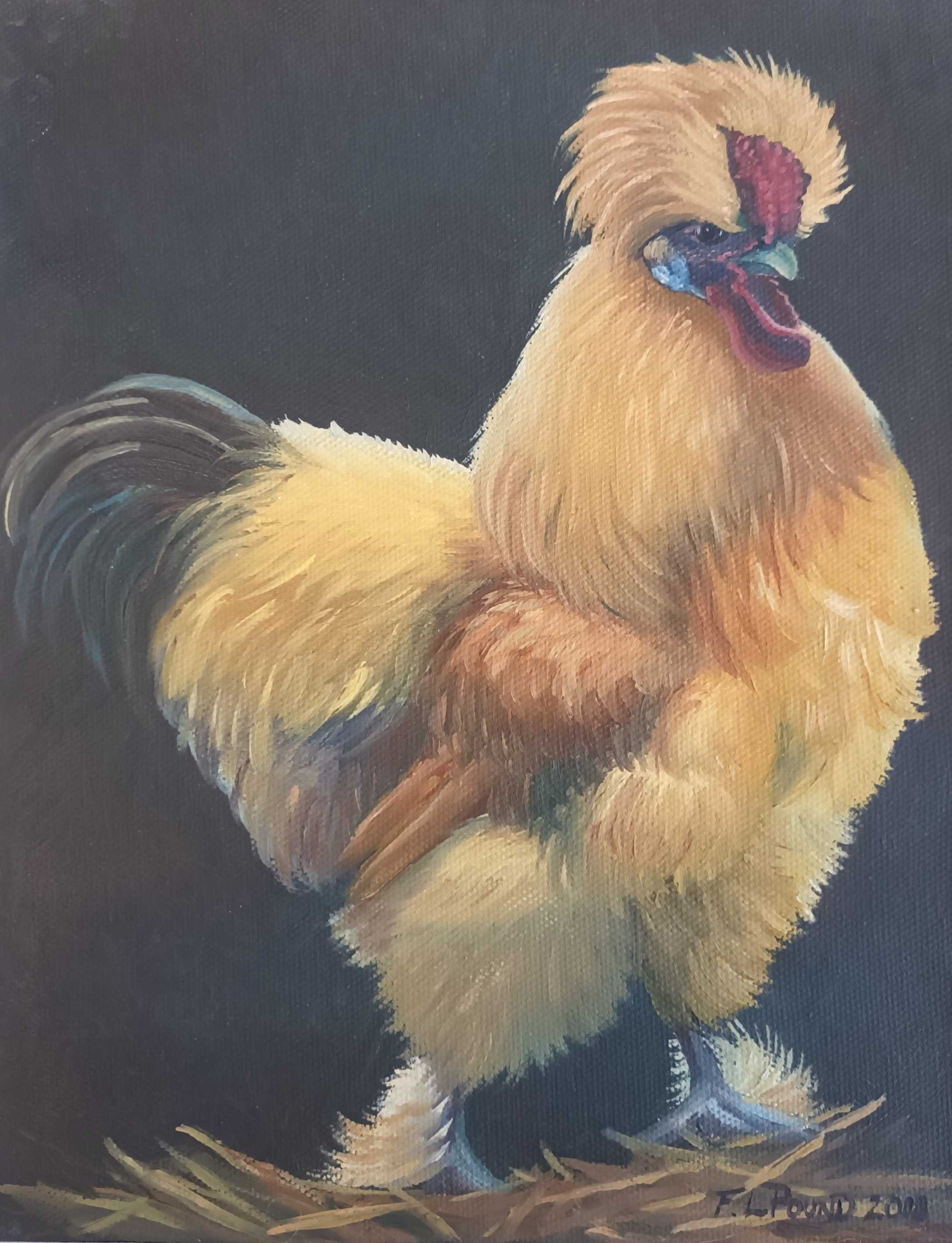 Buff Rooster