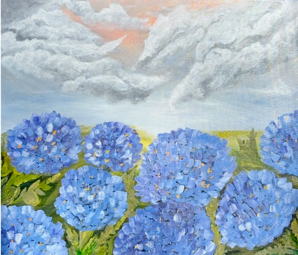 Hydrangeas 
