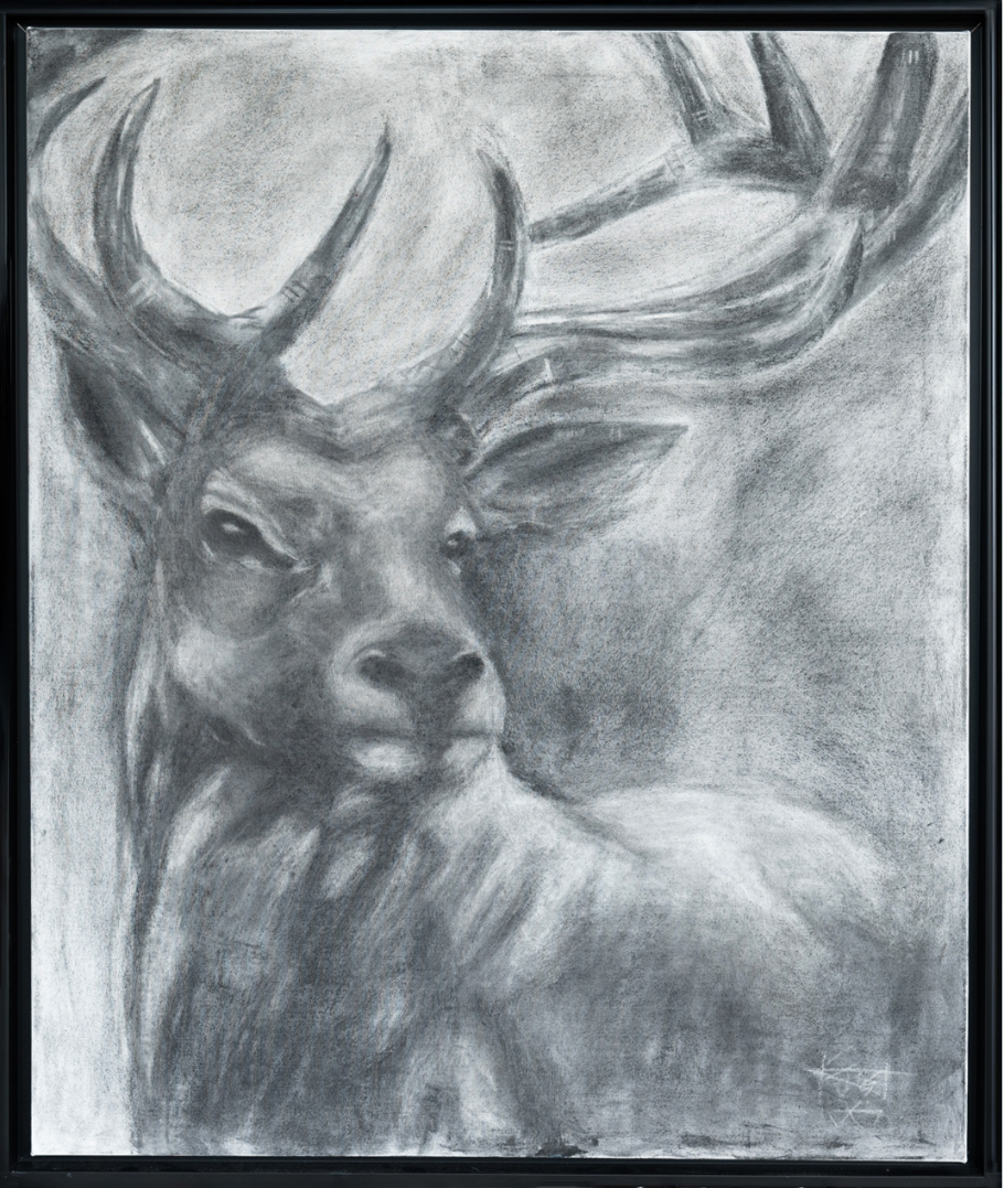 Stag ( Charcoal ) #11