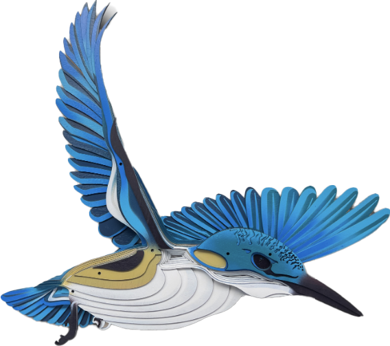 Kōtare - Kingfisher