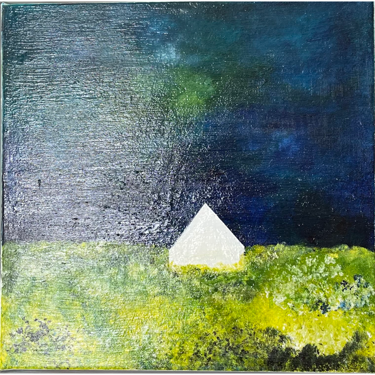 Nightfall On The Meadow 