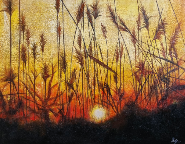 Sunset (pampas)