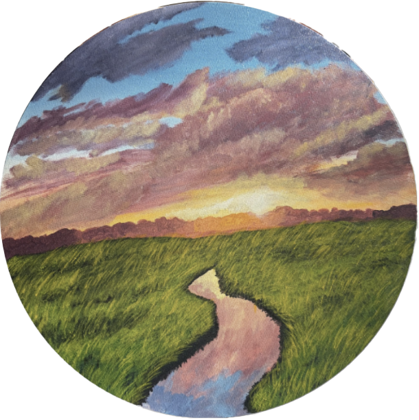 Sunset at palmy lake