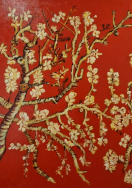 Red and white cherry blossoms