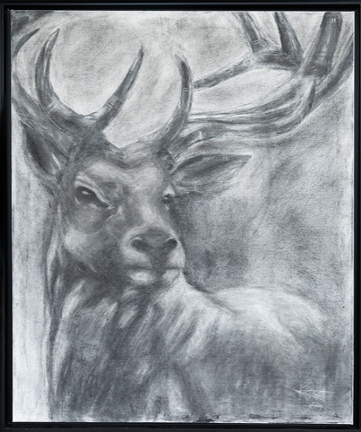Stag ( Charcoal ) #11