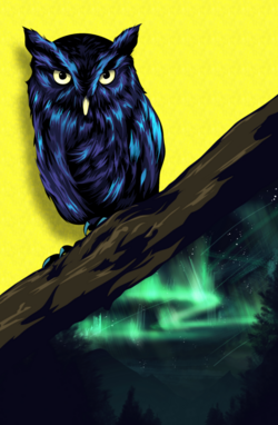 Owl artwork