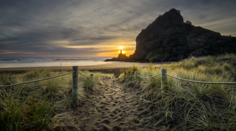 Muted Piha Sunset